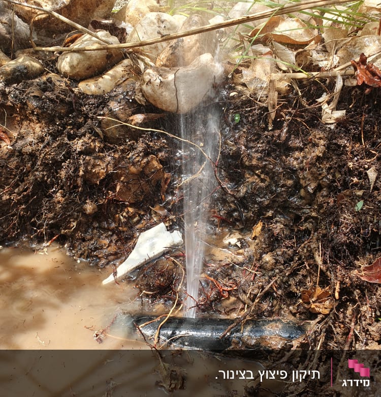 צינור מים שבור עם נזילה באדמה רטובה
